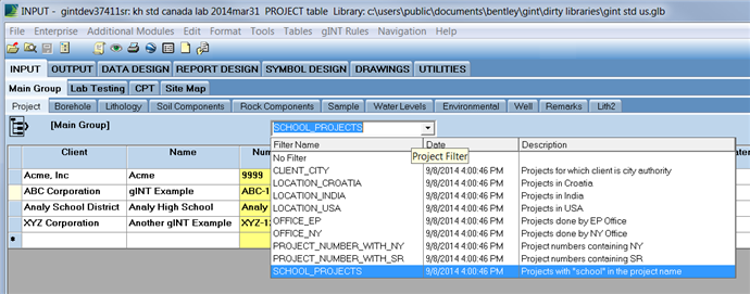 gINT | Keynetix - Create a Project Filter for Input - Communities
