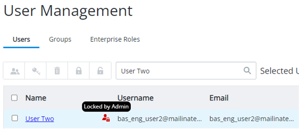 Screenshot of locked user icon